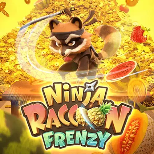 Ninja Raccoon Frenzy