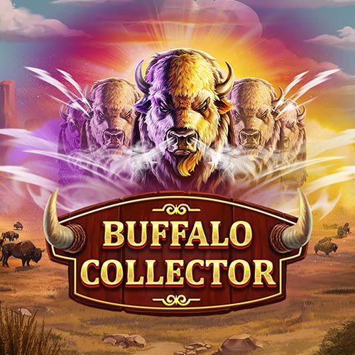 Buffalo Collector