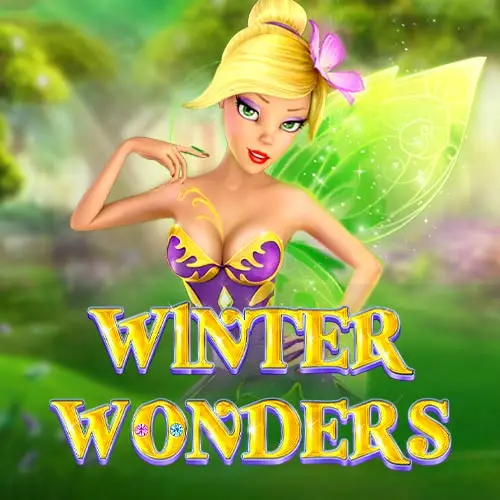 Winter Wonders