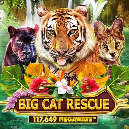 Big Cat Rescue Megaways