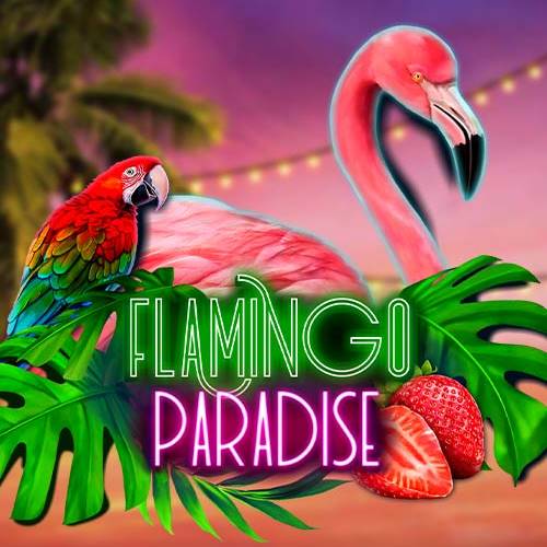 Flamingo paradise