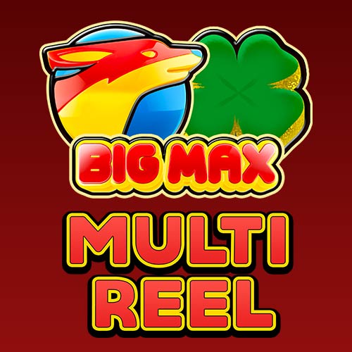 Big Max Multi Reel