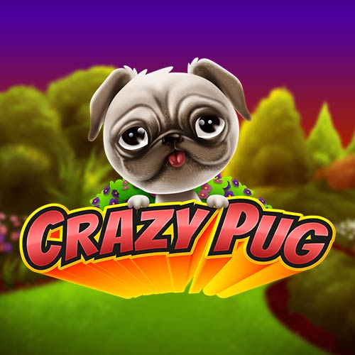 Crazy Pug