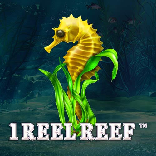 1 Reel Reef