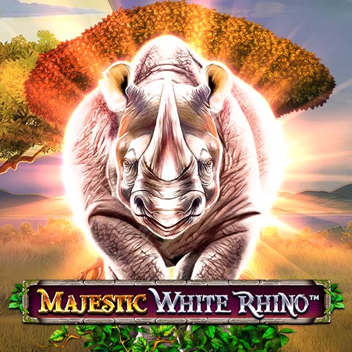 Majestic White Rhino