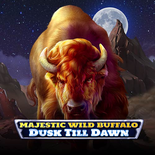 Majestic Wild Buffalo Dusk Till Dawn