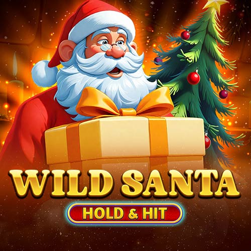 Wild Santa Hold and Hit