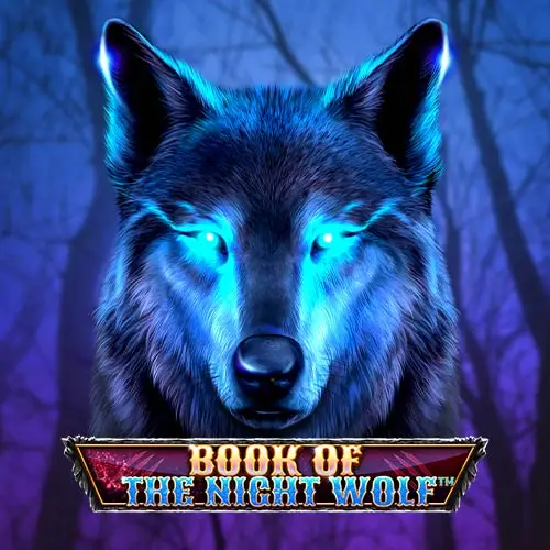 Book Of The Night Wolf