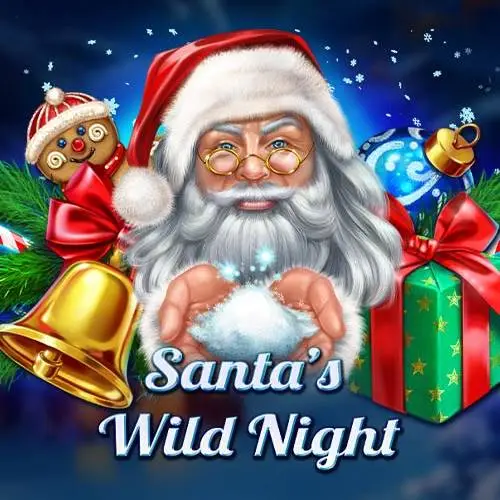 Santas Wild Night