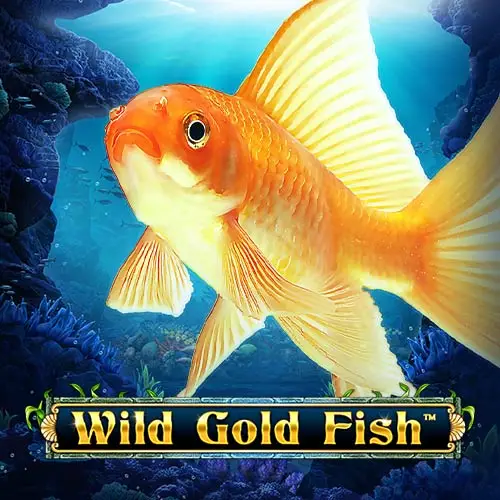 Wild Gold Fish