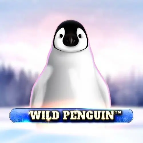 Wild Penguin