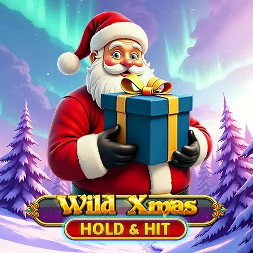 Wild Xmas Hold and Hit