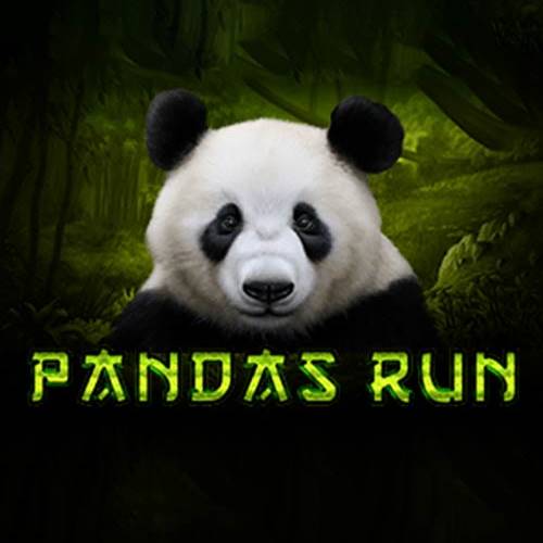 Pandas Run