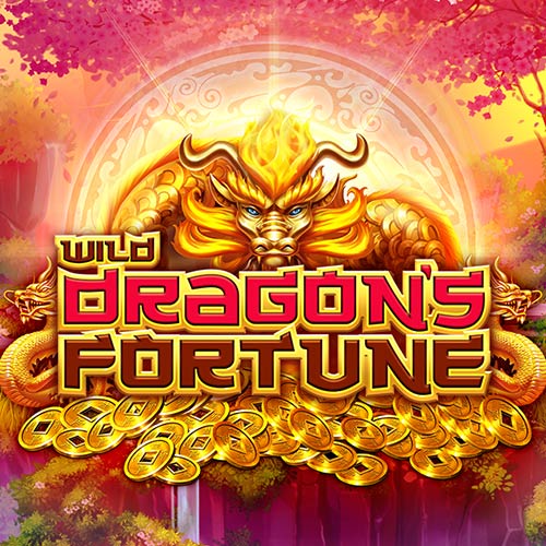 Wild Dragons Fortune