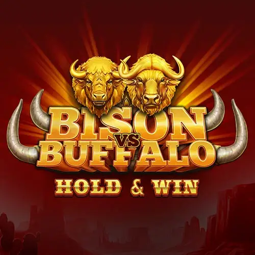 Bison vs Buffalo