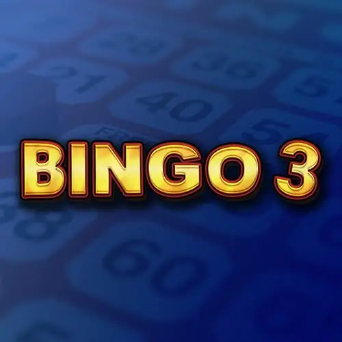 Bingo 3