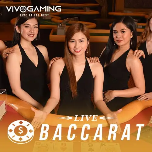 Vivo Baccarat Table 4