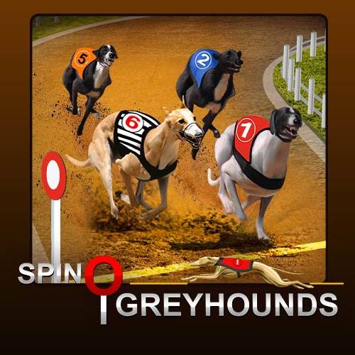 Spinosports Greyhounds